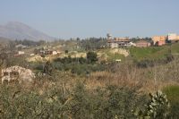 IMG_1985